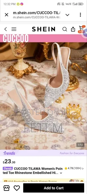 Elegant Shoes for Braid