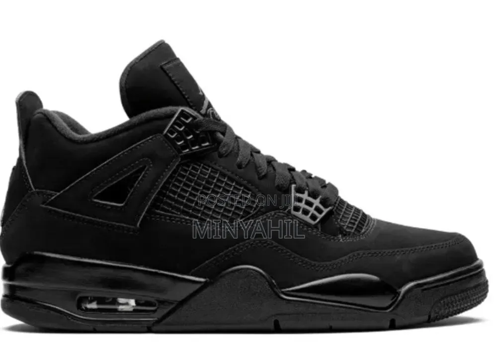 Jordan 4 Shoe