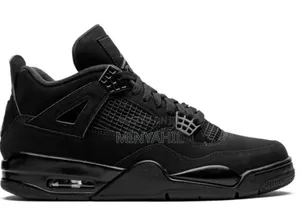 Jordan 4 Shoe
