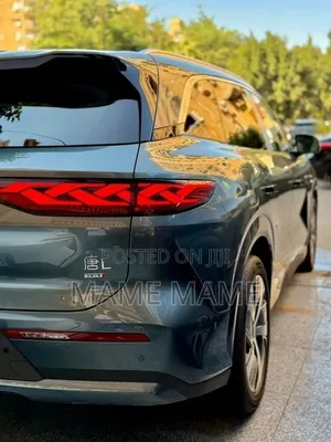 New BYD Tang DM-i 2025 Gray
