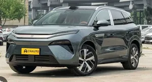 New BYD Tang DM-i 2025 Gray