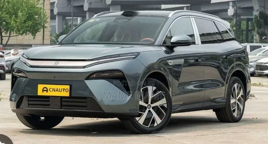 New BYD Tang DM-i 2025 Gray
