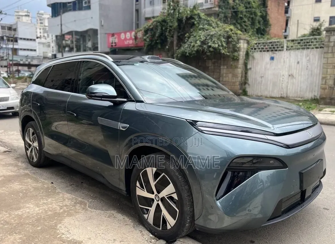 New BYD Tang DM-i 2025 Gray