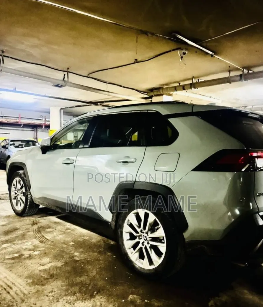 New Toyota RAV4 2024 Gray