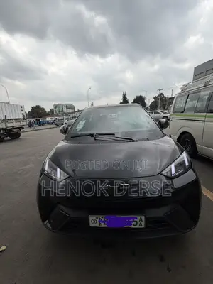 BYD Seagull 38 kWh FWD 2024 Black