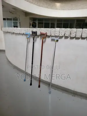 Walking Stick/Cane答邕standing Cane=grip Supplied Fully Assembled