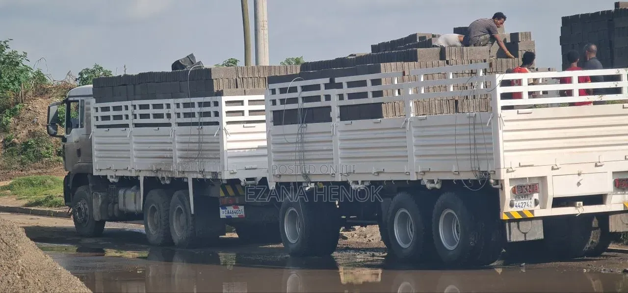 Sino Truck Tx