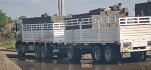 Sino Truck Tx