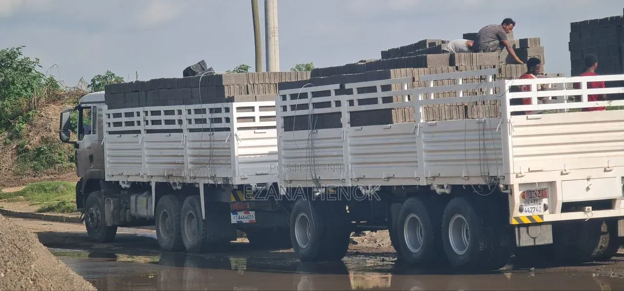Sino Truck Tx