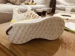 Nike Infinity Run 4