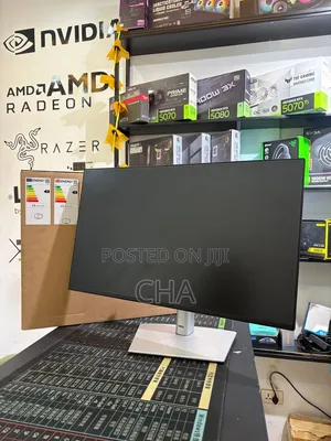 Dell 24 Inch Monitor