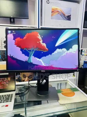 Dell P2317H Monitor