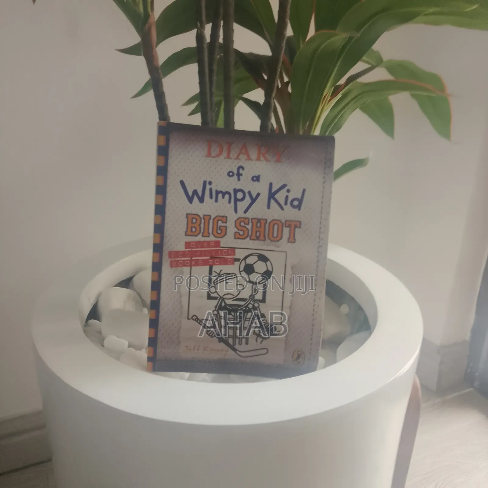 Diary of a Wimpy Kid
