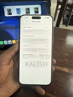 Apple iPhone 15 Pro Max 256 GB Silver