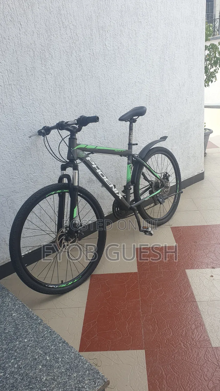 Phoenix Mountain Bike-Exellent Condition With Minor Body Scruchs