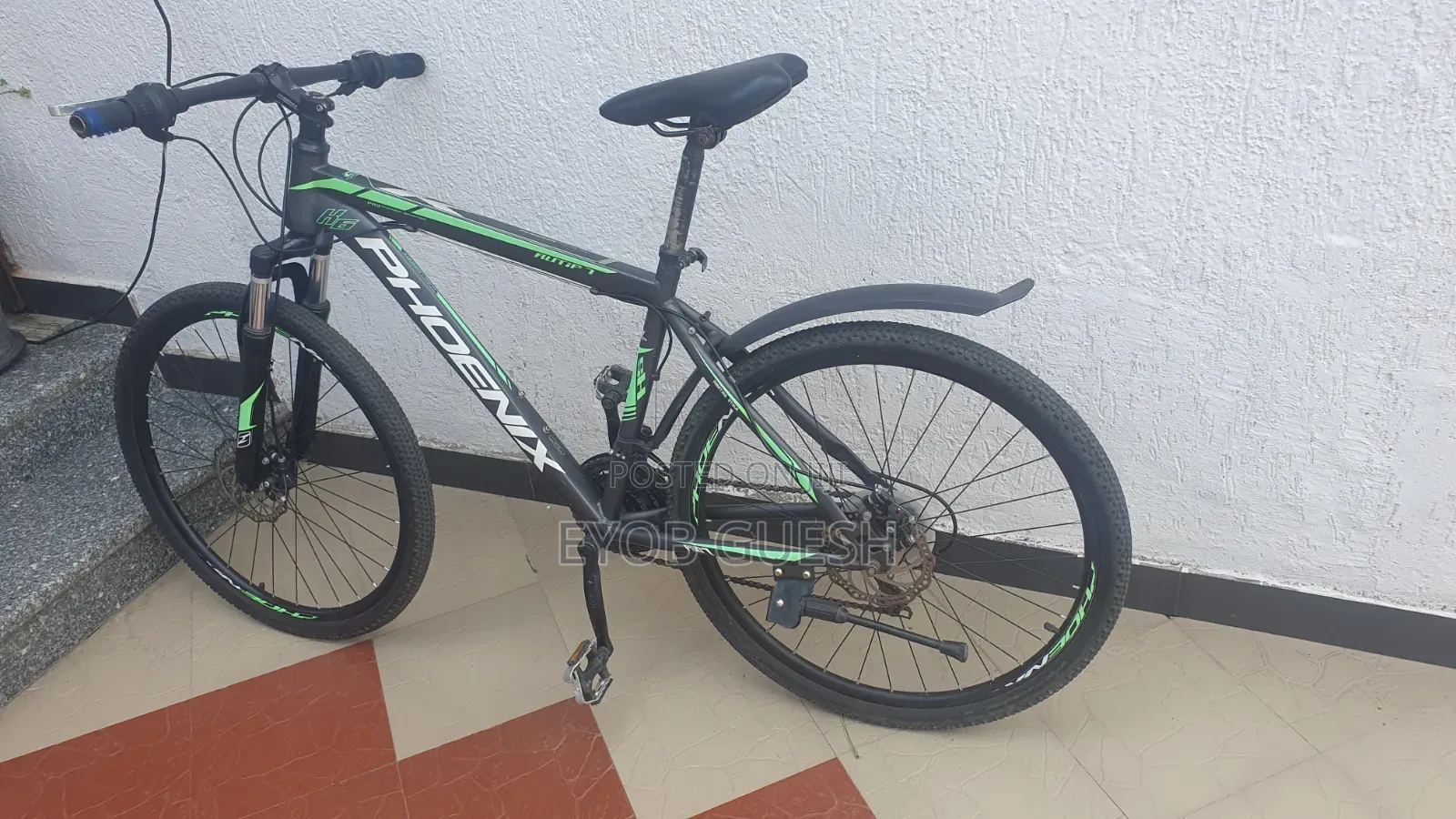 Phoenix Mountain Bike-Exellent Condition With Minor Body Scruchs