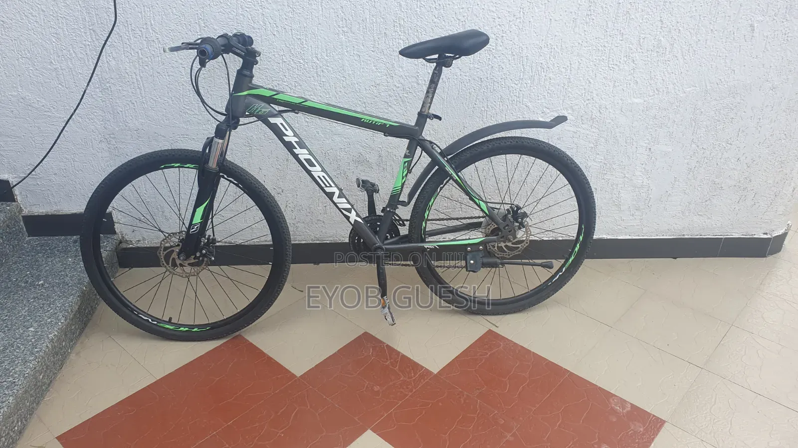 Phoenix Mountain Bike-Exellent Condition With Minor Body Scruchs