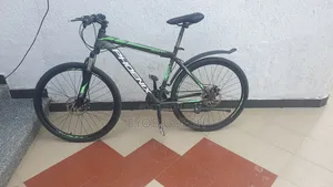 Phoenix Mountain Bike-Exellent Condition With Minor Body Scruchs