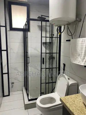 Furnished 3bdrm Apartment in Kirkos for rent