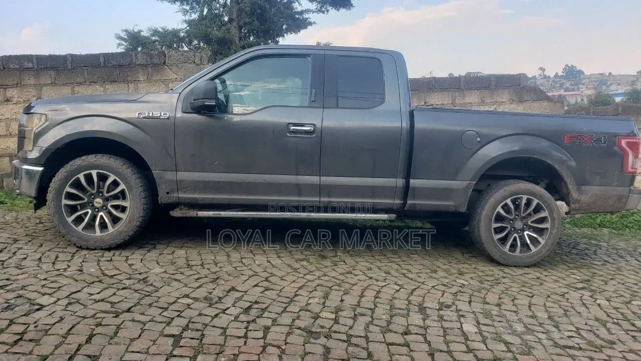 Ford F-150 2016 Gray