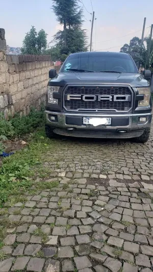 Ford F-150 2016 Gray