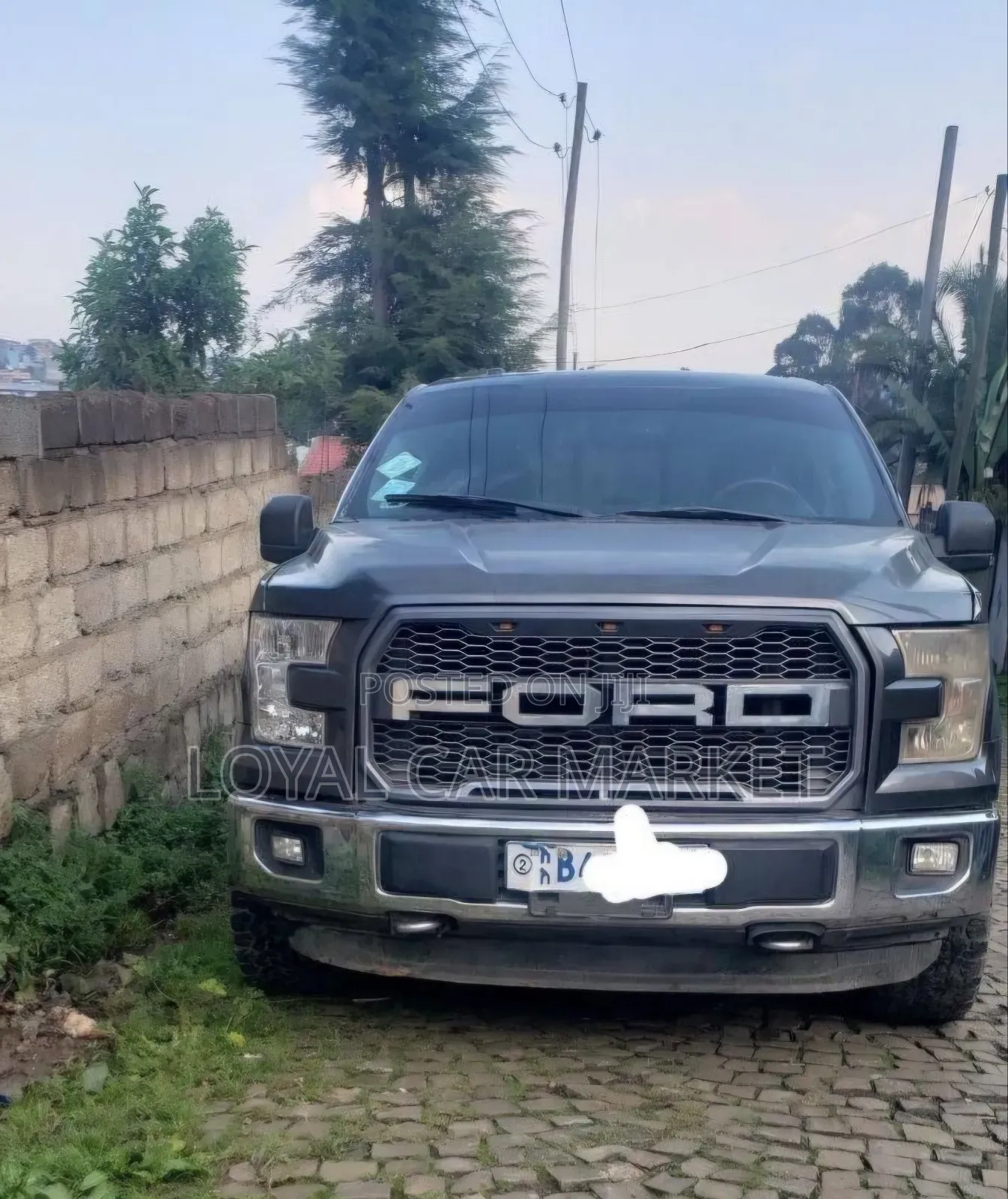 Ford F-150 2016 Gray