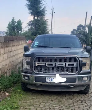 Ford F-150 2016 Gray