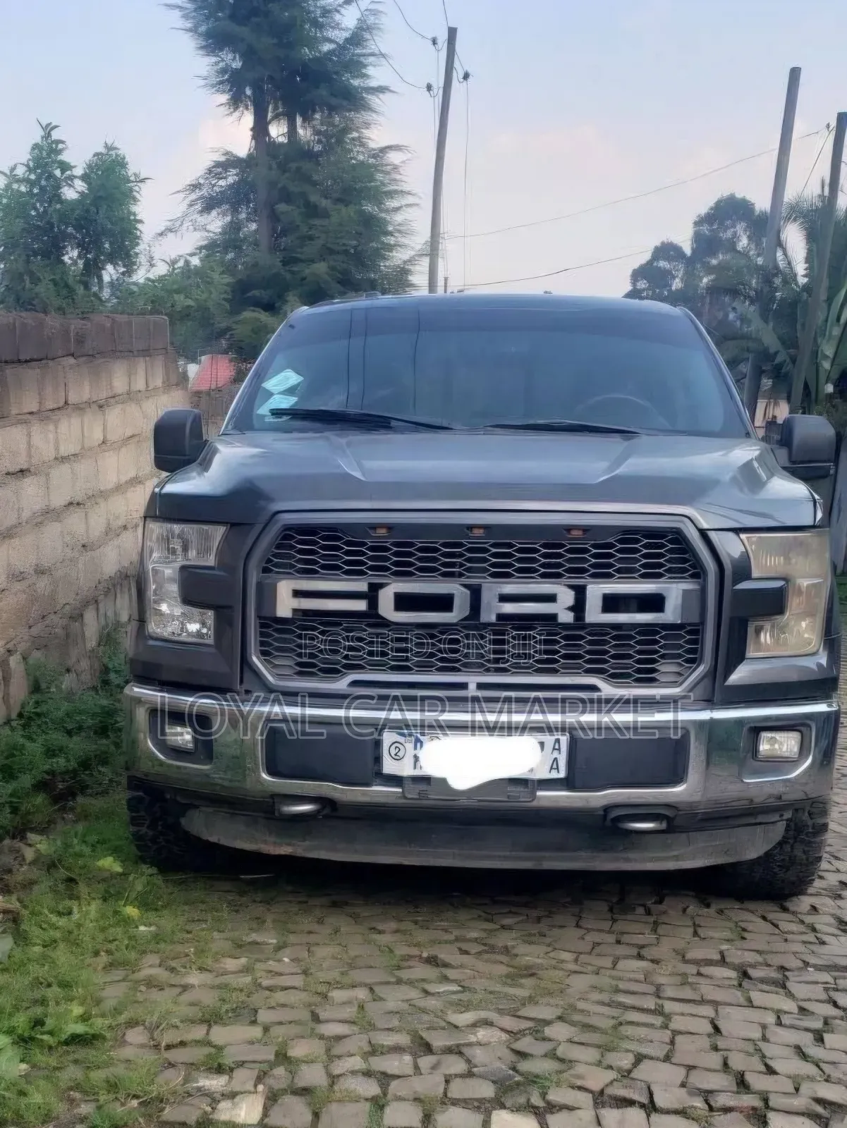 Ford F-150 2016 Gray