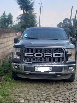 Ford F-150 2016 Gray