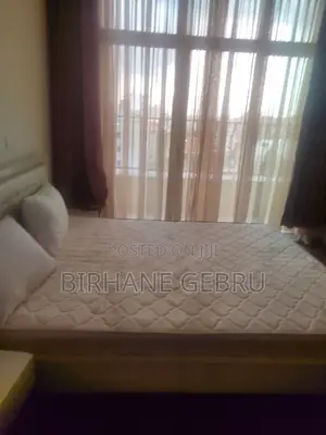 Furnished 3bdrm Apartment in Luxury Fernished, Bole for rent