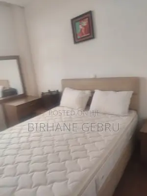 Furnished 3bdrm Apartment in Luxury Fernished, Bole for rent