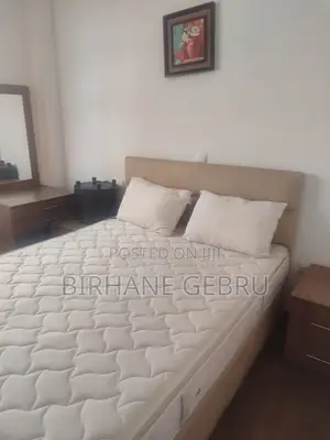 Furnished 3bdrm Apartment in Luxury Fernished, Bole for rent