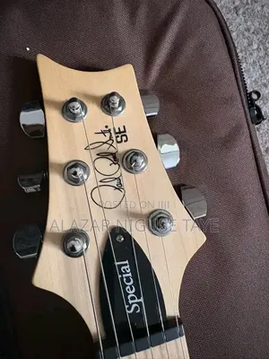 PRS SE Swamp Ash Special