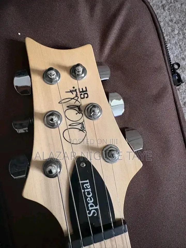 PRS SE Swamp Ash Special