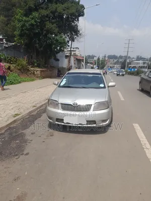 Toyota Corolla 2005 Gray