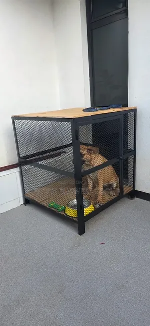 Cage, Dog Cage, የውሻ ቤት, Kennel