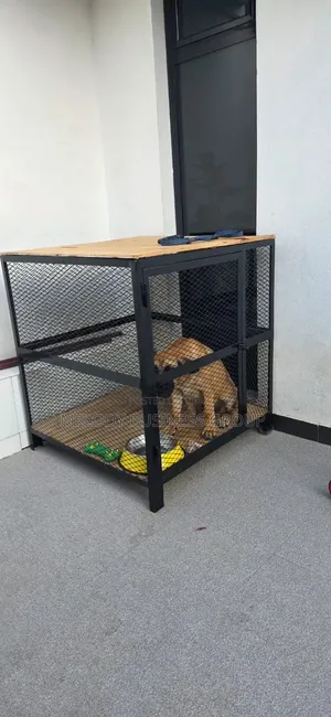 Cage, Dog Cage, የውሻ ቤት, Kennel