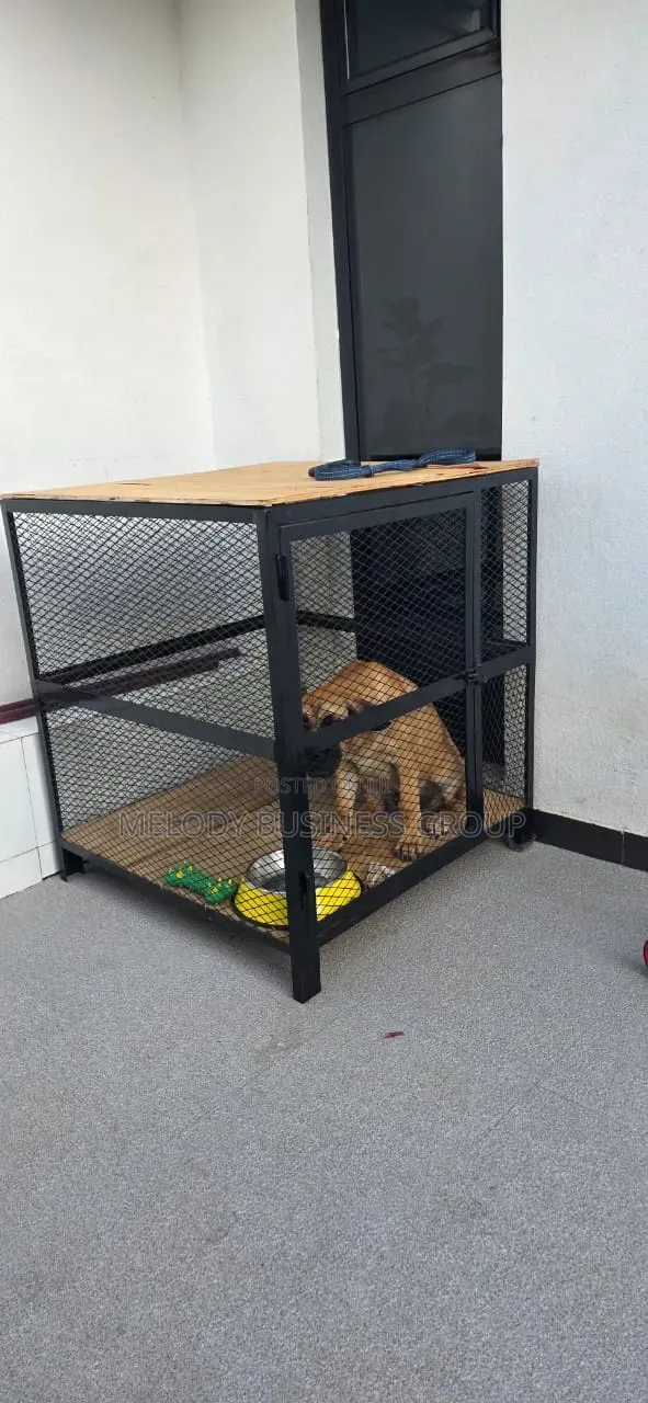 Cage, Dog Cage, የውሻ ቤት, Kennel