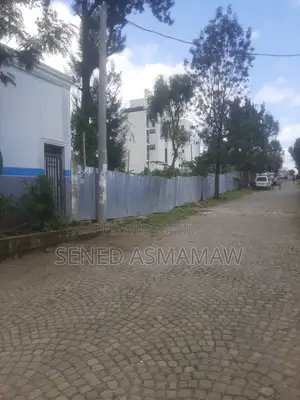 2000 ካሬ የሚሸጥ ወሰን ኮተቤ ከዋናው መንገድ 100 ሜትር ገባ ብሎ ብር