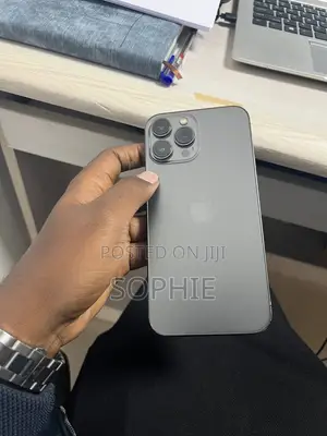 Apple iPhone 13 256 GB Gray