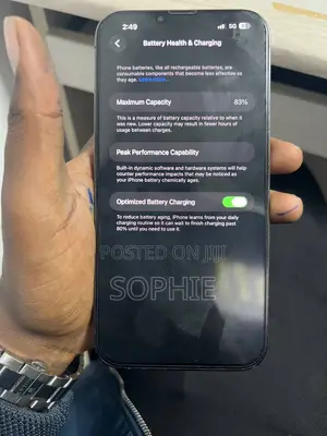 Apple iPhone 13 256 GB Gray
