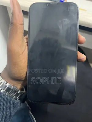Apple iPhone 13 256 GB Gray