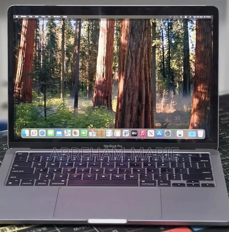 New Laptop Apple MacBook Pro 2020 M1 16GB Apple M1 Pro SSD 256GB