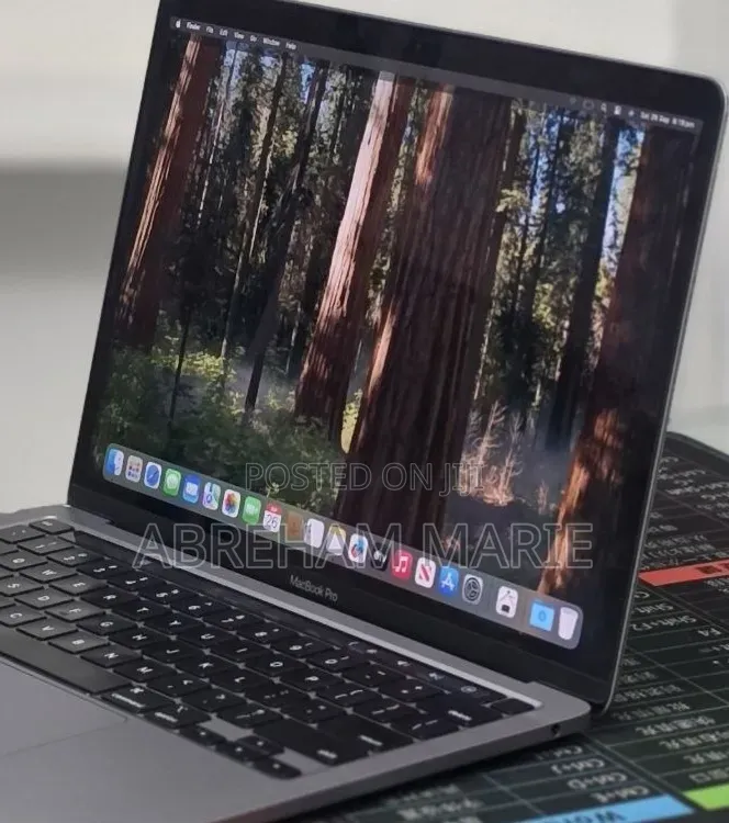 New Laptop Apple MacBook Pro 2020 M1 16GB Apple M1 Pro SSD 256GB