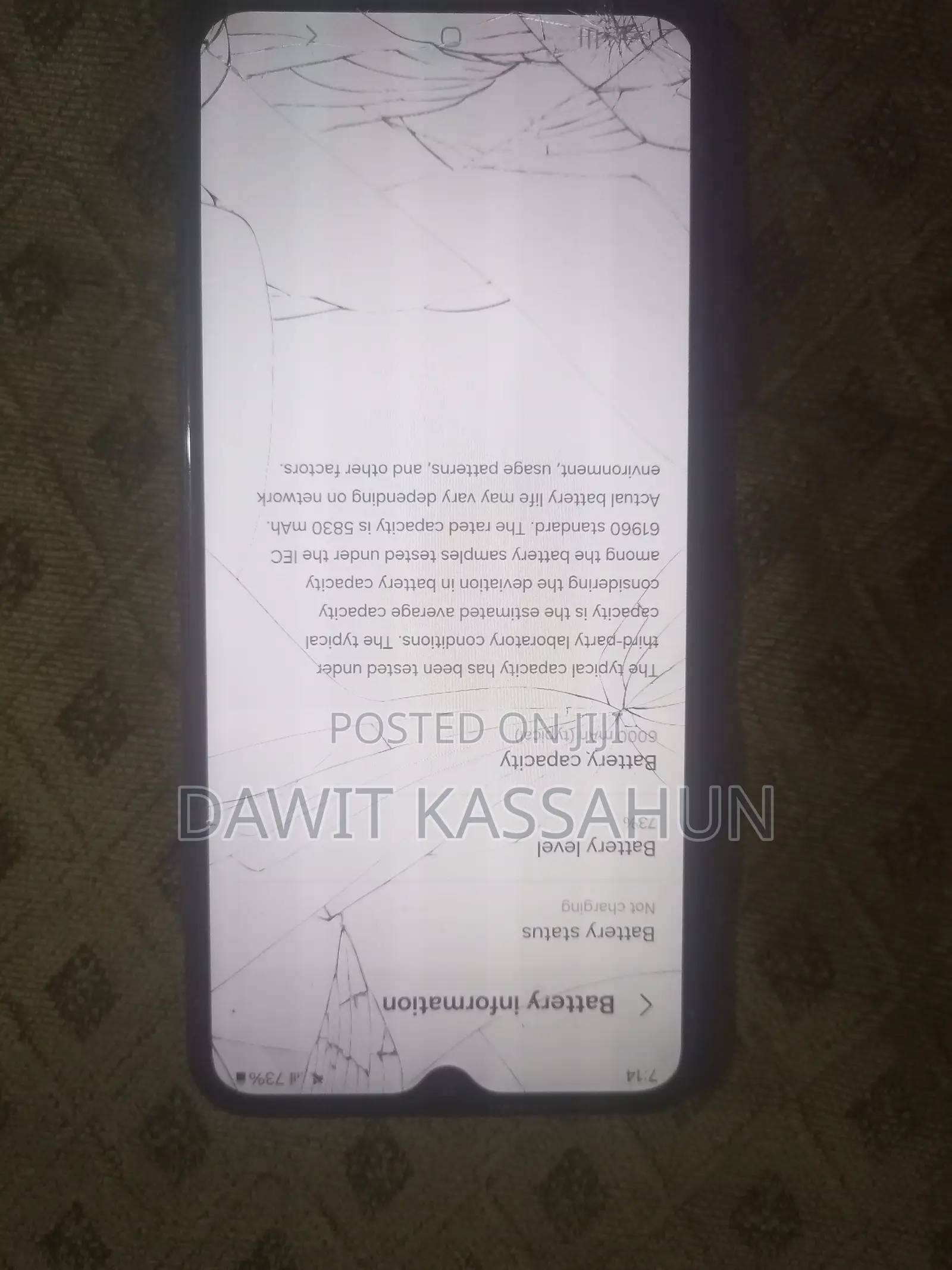 Samsung Galaxy F13 64 GB Blue