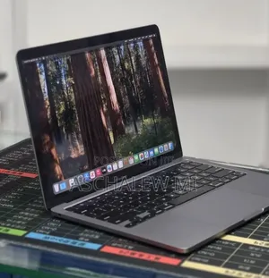 New Laptop Apple MacBook Pro 2020 16GB Apple M1 SSD 256GB