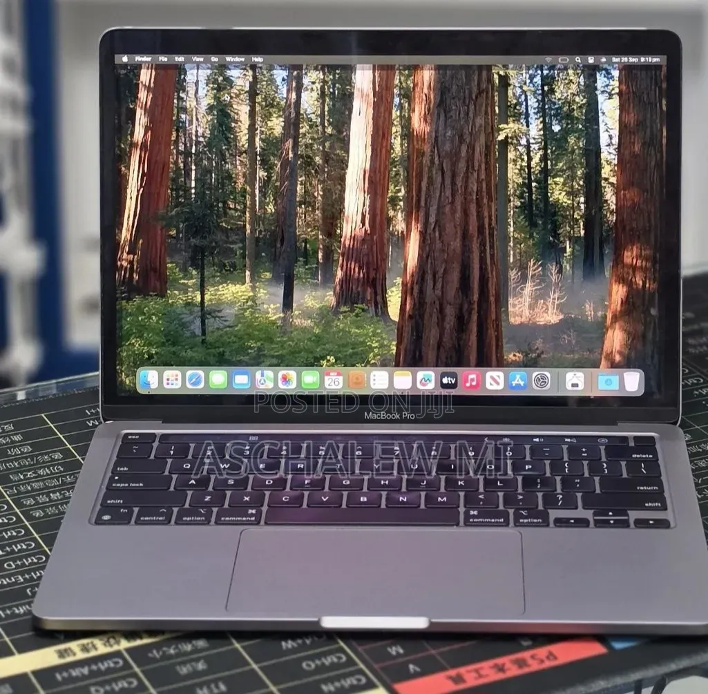 New Laptop Apple MacBook Pro 2020 16GB Apple M1 SSD 256GB
