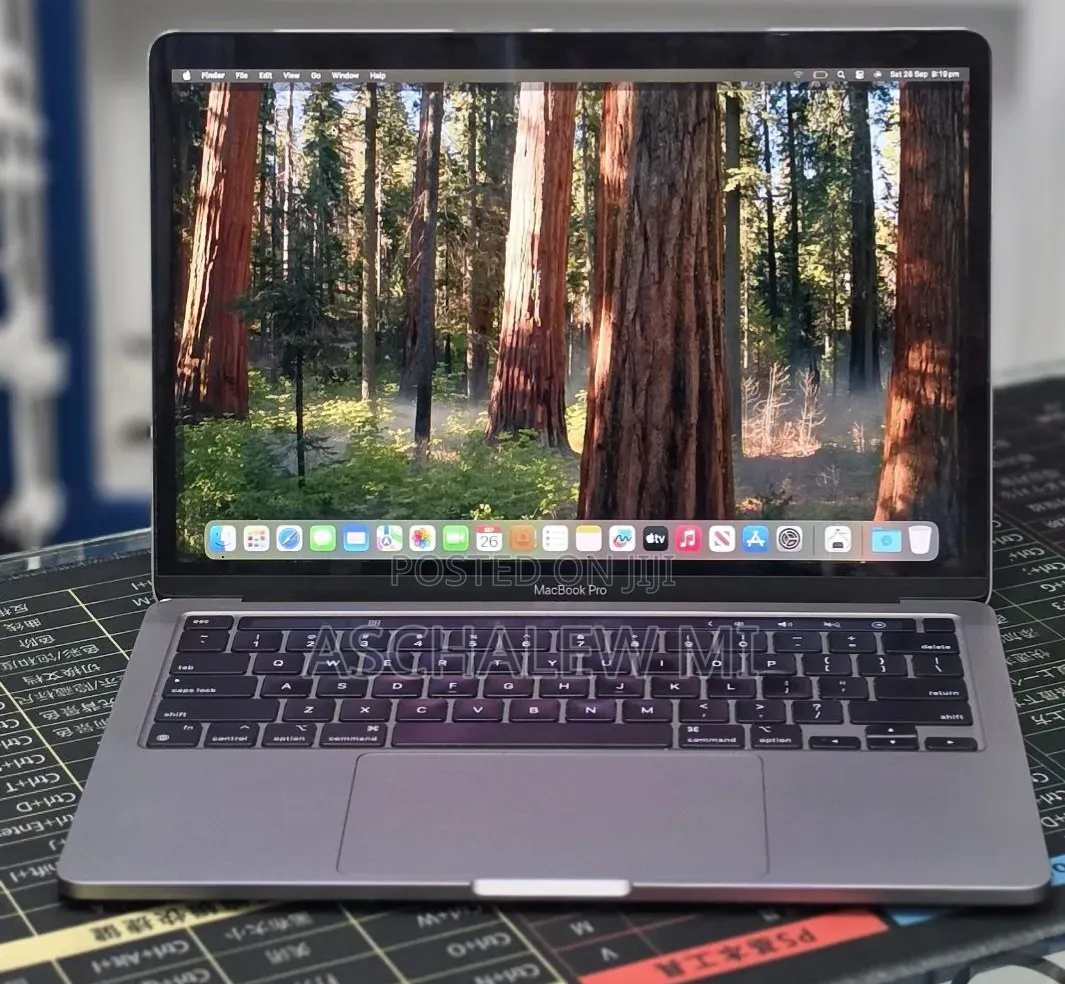 New Laptop Apple MacBook Pro 2020 16GB Apple M1 SSD 256GB