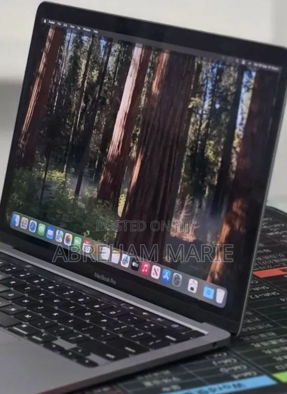 New Laptop Apple MacBook Pro 2020 M1 16GB Apple M1 Pro SSD 256GB