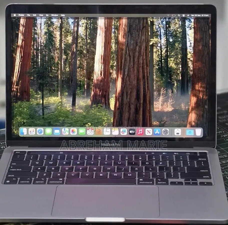 New Laptop Apple MacBook Pro 2020 M1 16GB Apple M1 Pro SSD 256GB